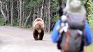 Encuentro de una persona con un oso en un parque natural de Estados Unidos