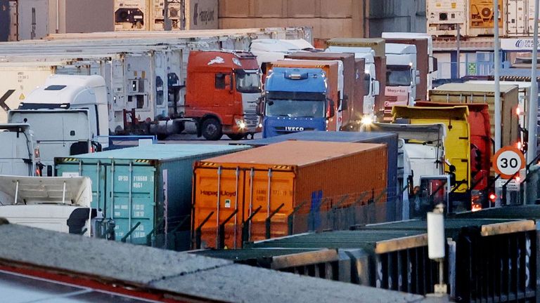 Conxemar aborda un análisis para remover las trabas que atascan el sistema Catch, de certificación de pesca