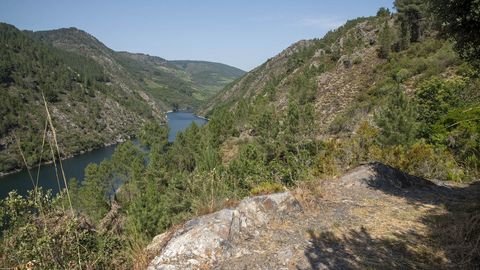 Una vista del cañón del Sil en un tramo del camino