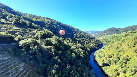 Un globo aerosttico de la empresa Aerotours sobrevuela la Ribeira Sacra del Mio, en una imagen de agosto del ao pasado