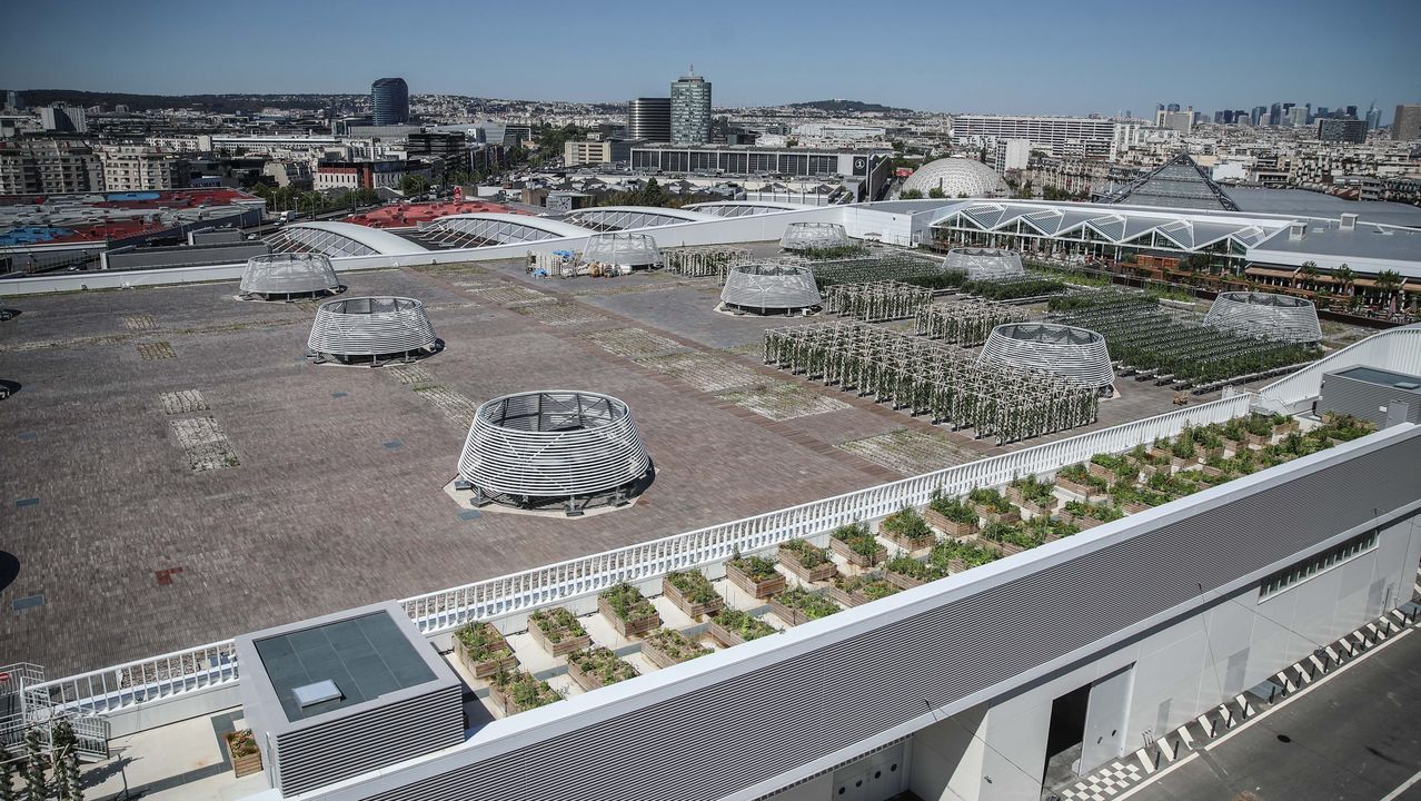 El mayor huerto urbano de Europa crece en una azotea de Par&iacute;s