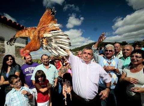 En la romera de San Adrin de Verdes volver a haber la tradicional subasta de gallos. 