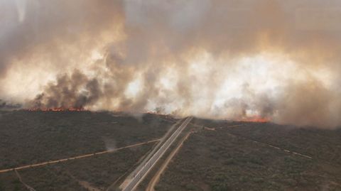 el fuego m