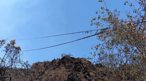 Un cable telefnico quemado por los incendios de estos das cerca de Besarredonda, en el municipio de Quiroga