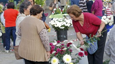 Mercado de flores para Todos los Santos