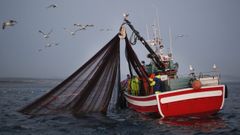 Un xeiteiro pescando sardina el pasado 23 de junio, en la ra de Arousa