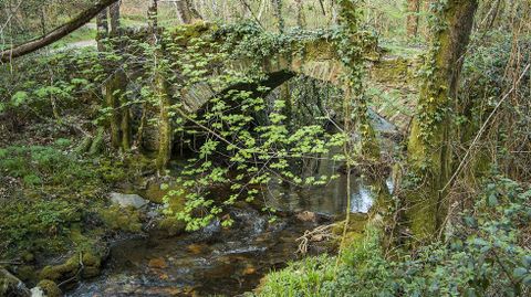 Un viejo puente de cantera en el arroyo de As Balsas