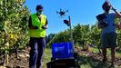 Los robots se apuntan a la vendimia en Terras Gauda