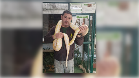 El zoo 'El bosque' rescata un ejemplar de 'Pithon molurus albina'