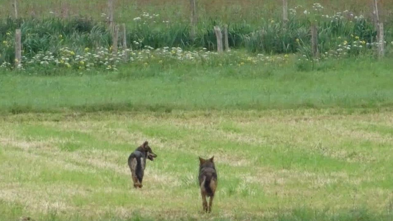 Un recorrido por el prestigioso alojamiento.Pasi�n por el centro. Marta cuenta que su deporte favorito es �caminar despacio�. Cuando su padre viv�a sol�a acompa�arlo en sus paseos diarios por el centro y ella se ha mantenido fiel a la costumbre. Tambi�n le gusta caminar por Doni�os y Penencia, una de sus geograf�as sentimentales preferidas por ser punto de reuni�n familiar, junto a Irixoa y O Barqueiro