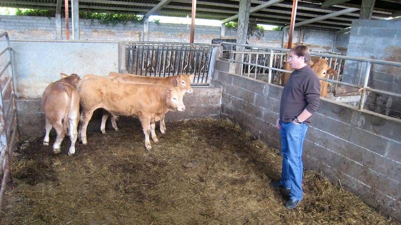 Patricia Castro en el momento de abandonar el juzgado de Sarria tras prestar declaraci�n