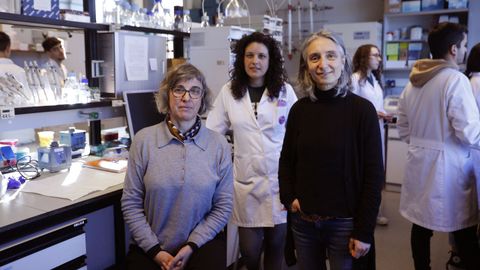 De izquierda a derecha, Marisa Ra, Marta Diguez y Ana Torrado en el laboratorio de Bioqumica del campus de Ourense