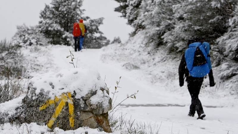 Un manto blanco cubre la monta�a lucense.El subdelegado del gobierno, Ram�n Carballo, particip� en el torneo