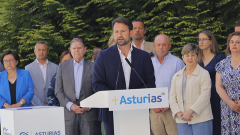El presidente del PP de Asturias, �lvaro Queipo