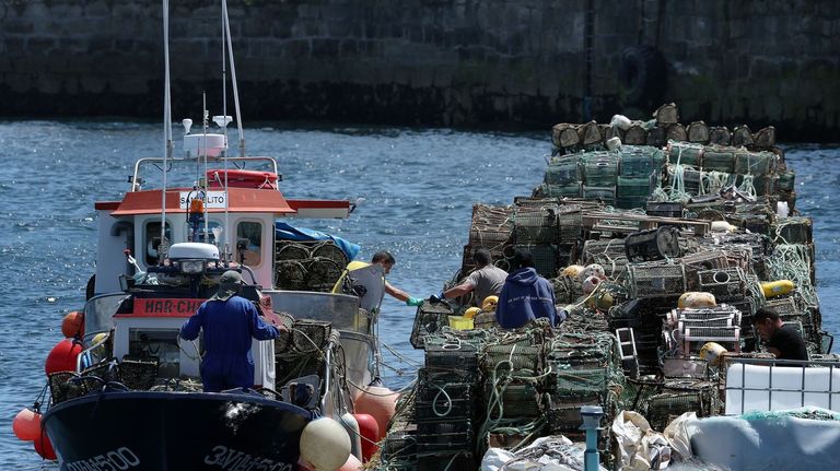 Galicia se reencuentra con sus pulpos, nécoras, camarones y lumbrigantes