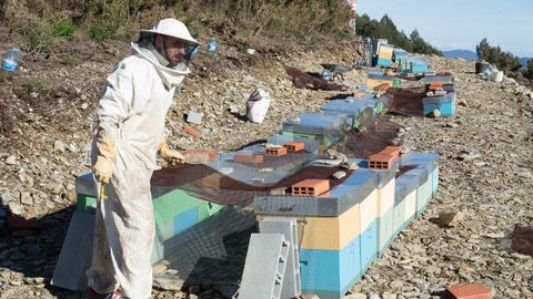 Brais lvarez, apicultor, ha logrado terrenos del Banco de Terras en Xudn (A Pontenova)