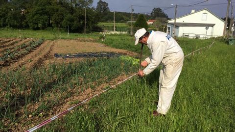 La huerta se llena de artilugios caseros para proteger las cosechas