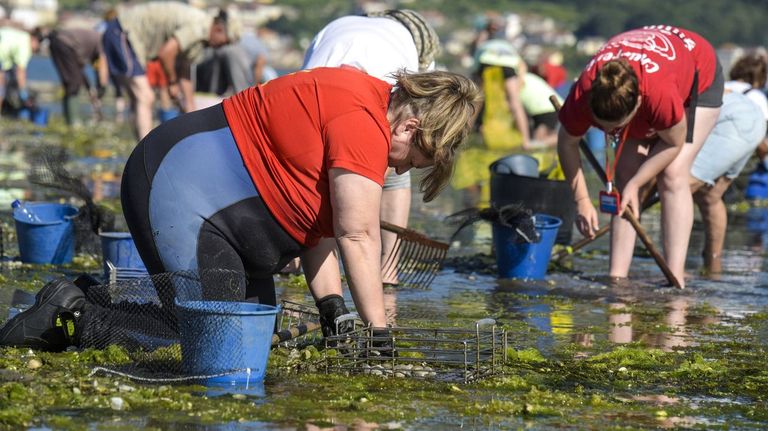 O carrusel de tormentas do marisqueo