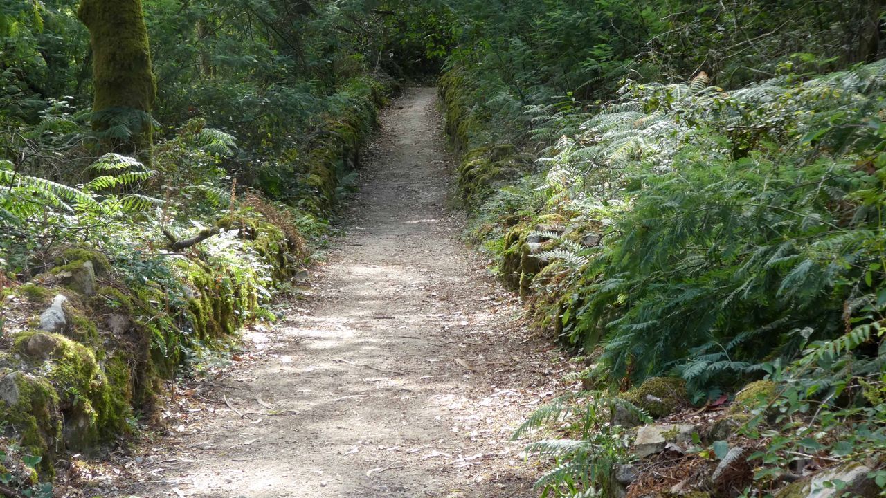 Las razones que llevan a los turistas a visitar Vigo pese a la quinta ola de covid.Belesar est a caballo de O Saviao y Chantada, en la Ribeira Sacra