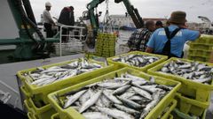 Un cerquero descargado sardinas en un puerto gallego (foto de archivo)