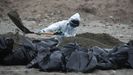 Un operario enterraba en diciembre aves muertas por gripe aviar en una playa de Perú. paolo aguilar | efe