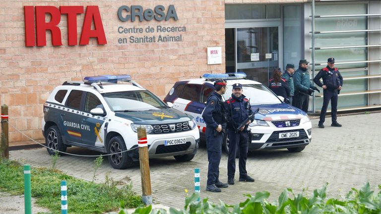 El informe del Ministerio descarta que el brote de peste porcina se originara en un centro de investigación