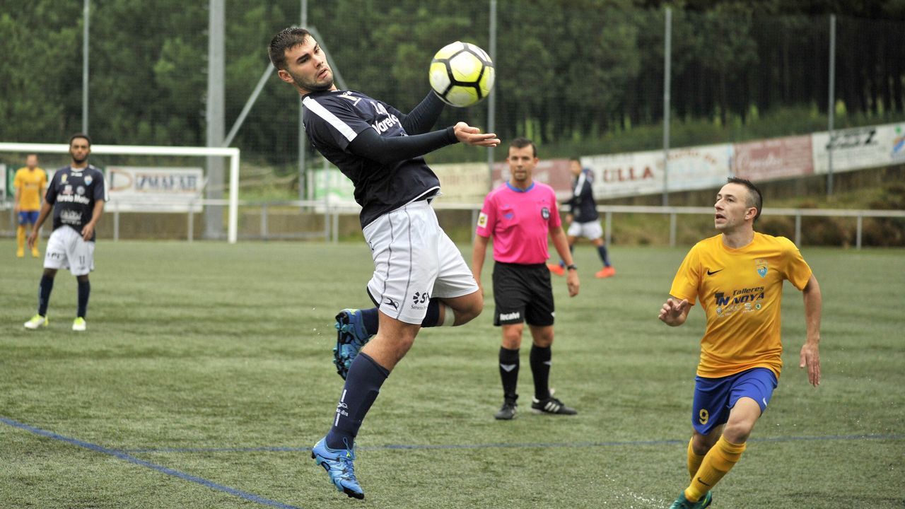 Una granja de O P�ramo transforma el pur�n en camas para las vacas