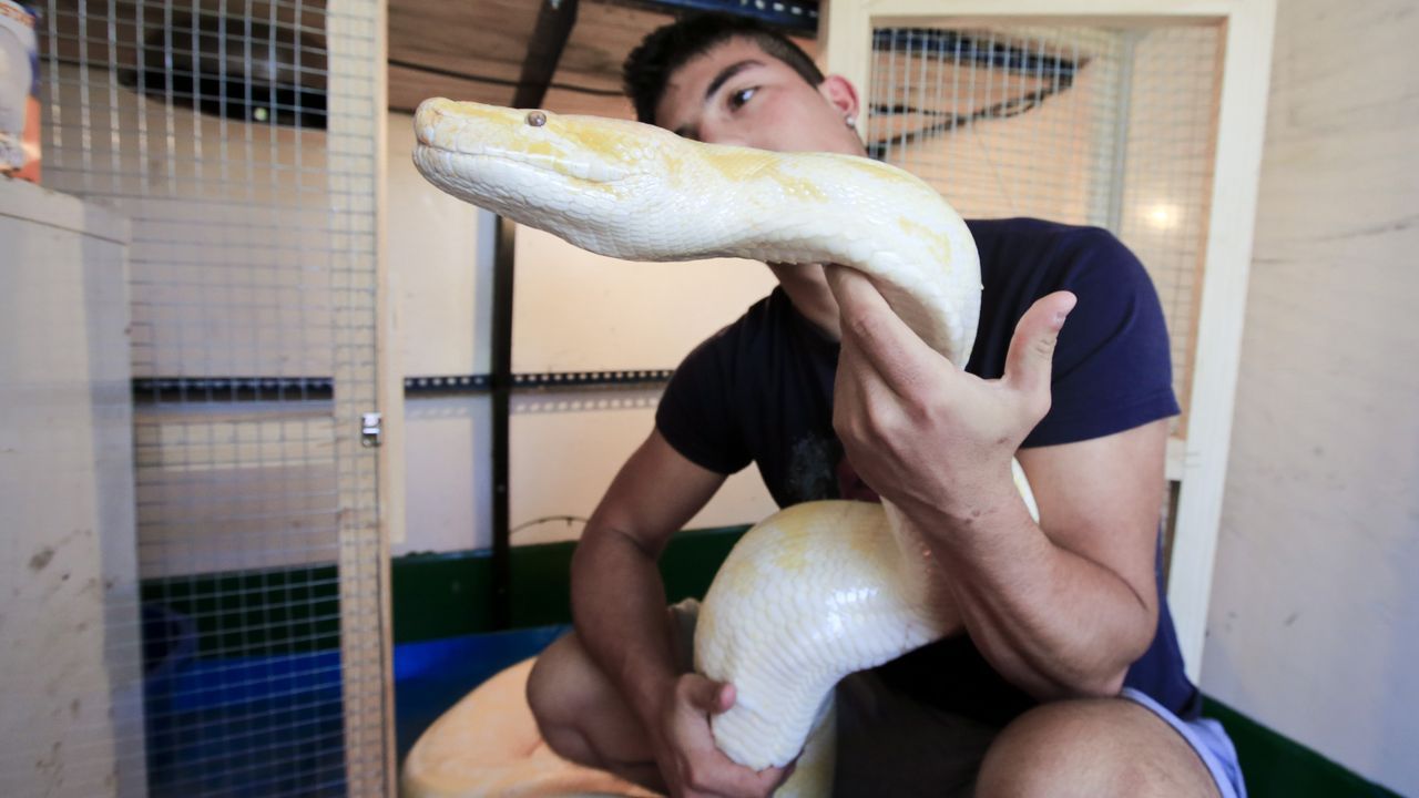 El 30 de agosto se celebr� en Ferrol la botadura del segundo log�stico para Australia