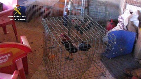 Imagen de archivo de una operación policial contra las peleas de gallos