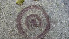 Dous crculos concntricos e unha covia central nos petroglifos atopados en Castroverde