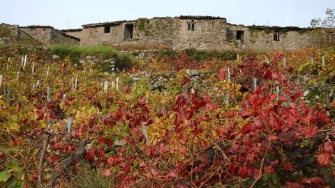 Casas abandonadas de la aldea de Bexán, situada en una zona de viñedo