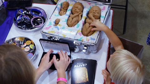 Los opositores al aborto de Texas utilizan modelos de fetos en las exposiciones que hacen para nios