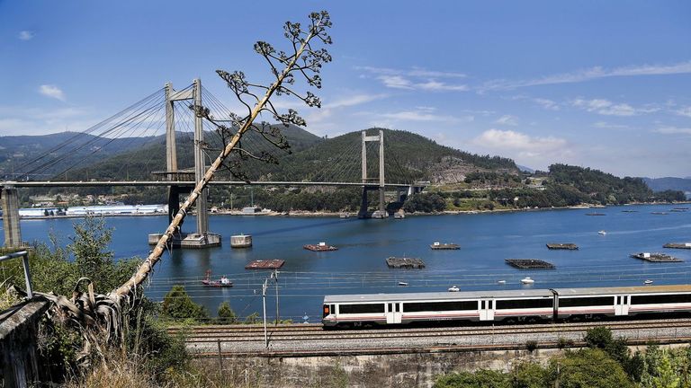 Los maquinistas alertan del riesgo de caída de árboles sobre las vías entre Vigo y Arcade