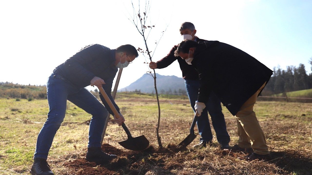 Kitesurf en A Illa.El hostelero y empresario santiagu�s Xavier Freire, uno de los dos hermanos fundadores del caf� Airas Nunes, muestra con orgullo alguna de sus ic�nicas tartas. Tambi�n satisfecho, mira a la vajilla Churchill, que sigue en el local desde que abri� en 1993: �A firma inglesa deixou de fabricala e xa s� a fan para n�s�