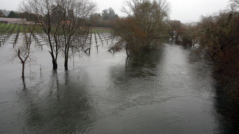 El río Umia baja desbordado a la altura del puente de Baión, en Vilanova de Arousa