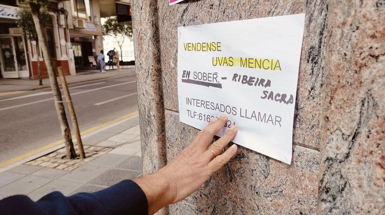 «Se vende uva en Ribeira Sacra»: el vino casero suple a las bodegas