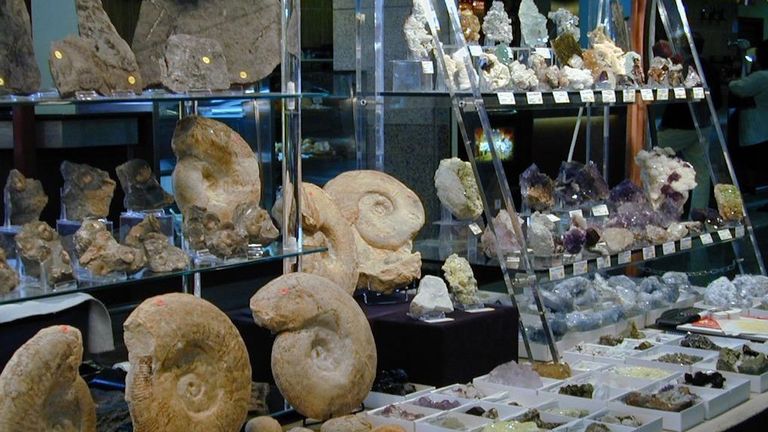 Meteoritos de la Luna y una mandíbula de megalodón