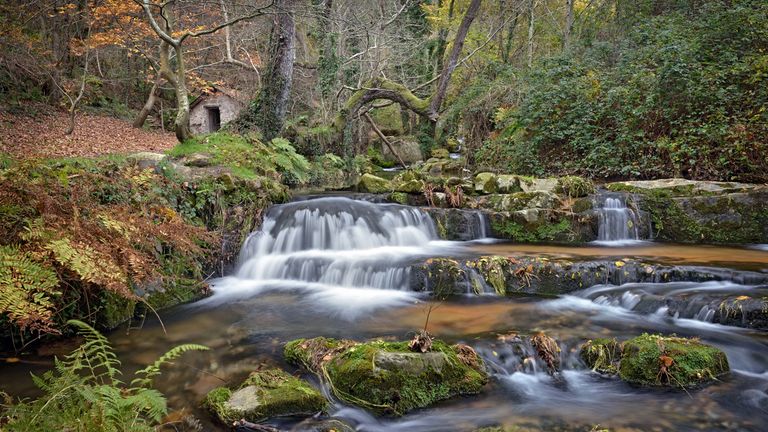 Río de Oneta