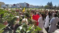 Celebraciones del Domingo de Ramos en Monforte
