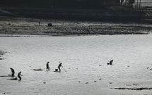 Una docena de mariscadores en la ra de O Burgo, a plena luz del da. Imagen de archivo