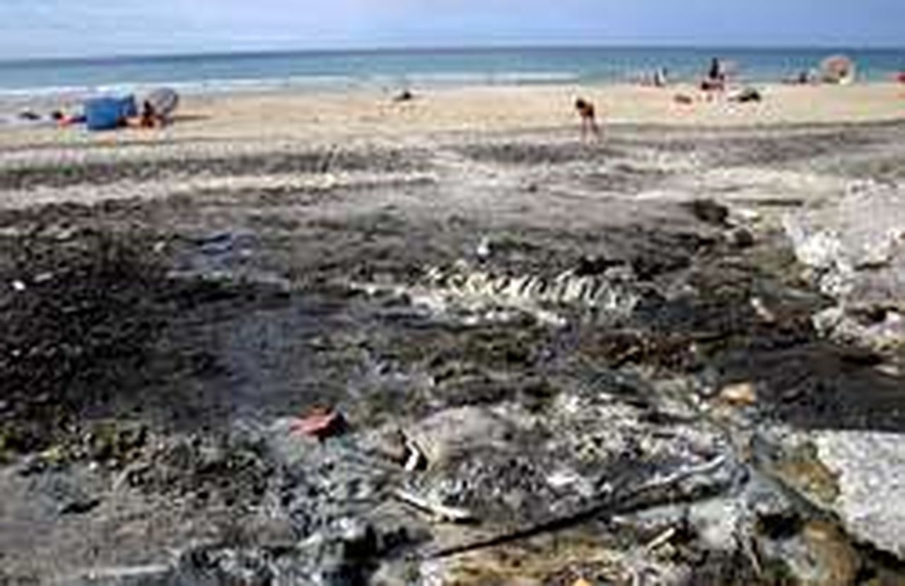 La playa de Razo tendrá red de saneamiento