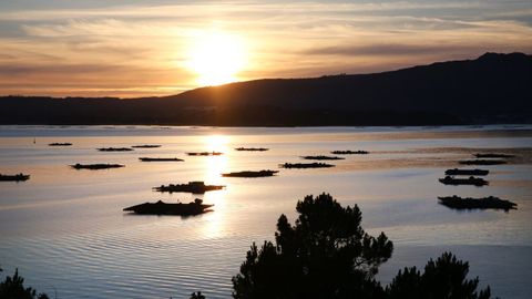 Bateas da ria de Arousa.