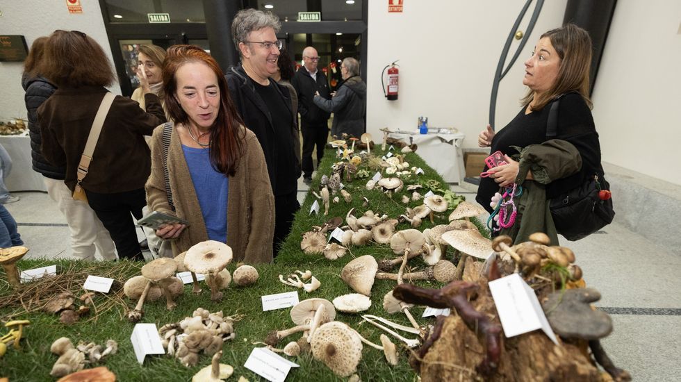 Fernndez Pensado, cando presentou o libro As Vellas de Mens no local de Amigos dos Museos da Corua.