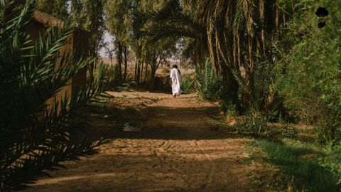 trabajo de reforestación que Alexandre y su equipo realizan junto a la población local en el oasis a las puertas del desierto.