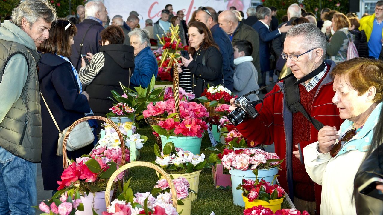 Ruta de las cascadas de Quiroga.Imagen de la anterior edici�n en Vigo del Concurso Exposici�n Internacional da Camelia
