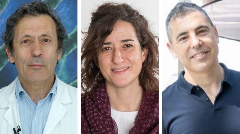 El gallego Luis Paz, en el triunvirato que liderará la «refu