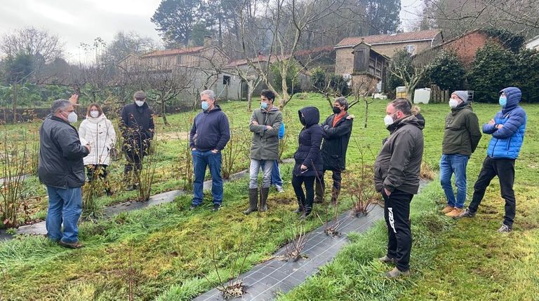 Berries Galicia busca el mejor arándano a golpe de formación