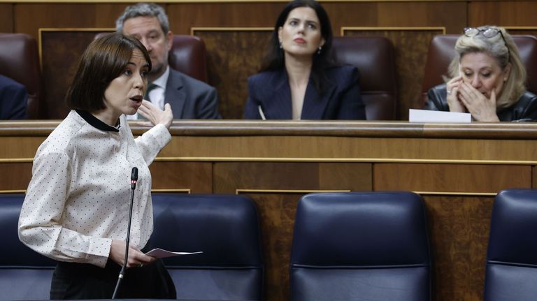 La ministra de Ciencia, Innovación y Universidades, Dian Morant, en el pleno del Congreso