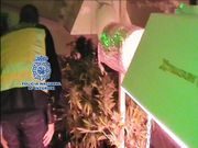 Un instante de la operaci�n policial de estos �ltimos d�as