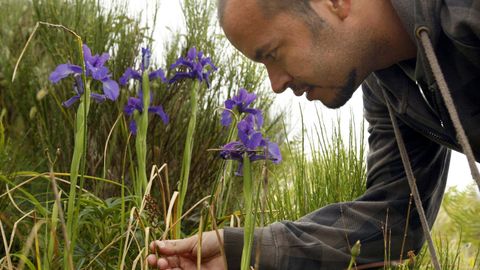 Un participante en una jornada de identificacin de orqudeas silvestres en la sierra de O Courel